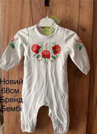 Боді