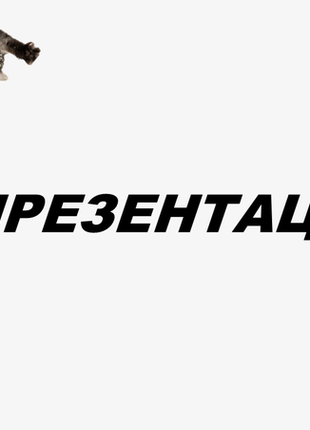Презентации по заказу!