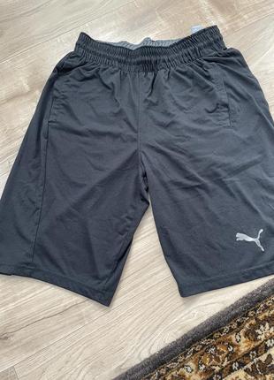 Шорти puma спортивні