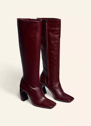 Кожаные сапоги бордовые женские zara limited