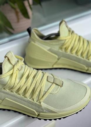 Кросівки    quattro ecco biom