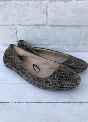 Продам балетки h&m