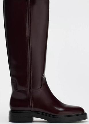 Самые трендовые сапоги zara
