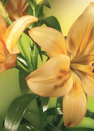 Фотошпалери флізелінові 3d квіти 375х250 см жовті лілії (ms-5-0139)+клей