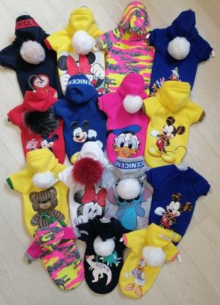 Теплі светри, худі, толстовки для котів, сфінксів, собак. одяг для тварин