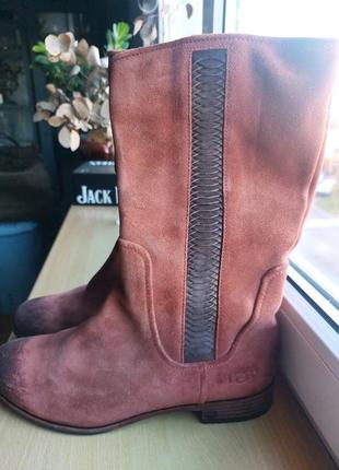 Чоботи ugg