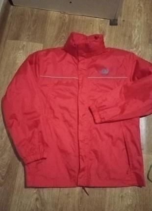 Ветровка унисекс alive