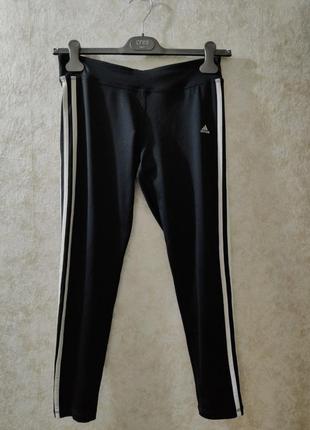 Лосины adidas