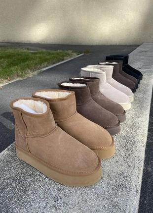 Ugg угги на высокой подошве с натуральным мехом и замшем