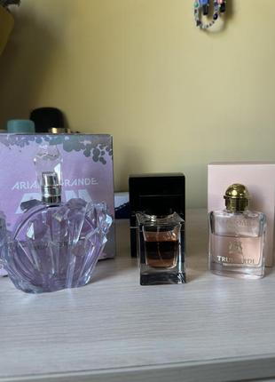 Trussardi, ariana grande, dolce & gabbana