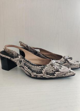 Туфлі, босоніжки із зміїної шкіри cavalli, оригінал, розмір 38
