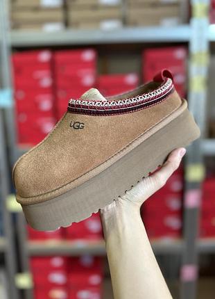 Женские угги converse x the simpsons