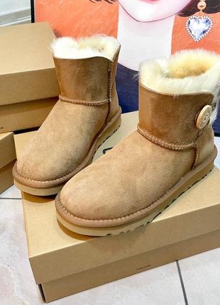 Зимние теплые Kit ugg