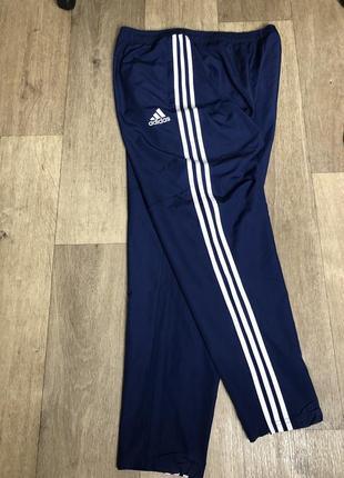 Спортивні штати adidas2 фото