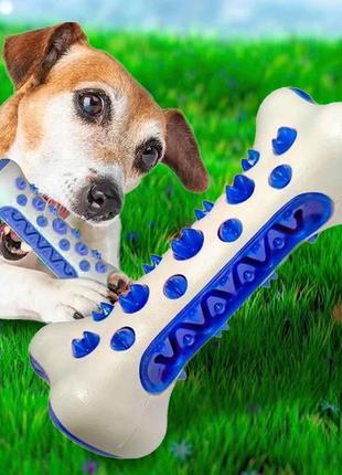 Косточка tooth brush dog резиновая косточка для собак2 фото