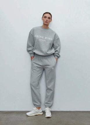 Костюм anine bing серый