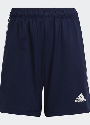 Оригінальні шорти adidas performance condivo 22 match day training shorts blue
