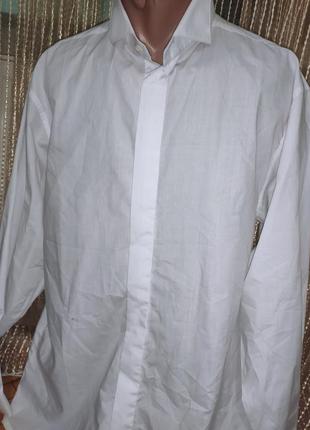 Стильная нарядная деловая рубашка под фрак смокинг воротник под бабочку roadsword.хл8 фото