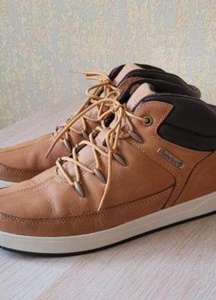 Демісезонні черевики timberland
