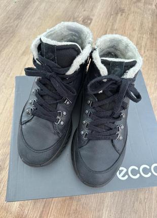 Черевики ecco 38р., шкіра, вовна6 фото