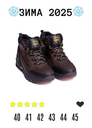 Чоловічі черевики з натуральної шкіри