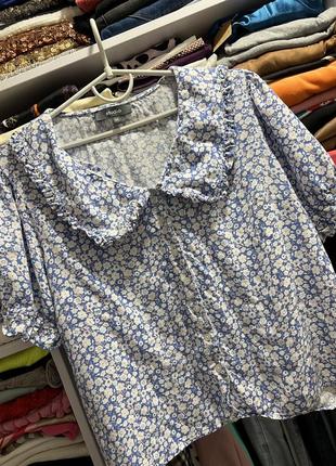 Блуза блузка зі стильним комірцем від 🏷studio розмір 20