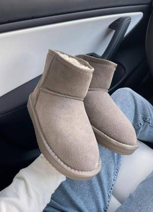 Угги угги натуральные замшевые ugg mini beige