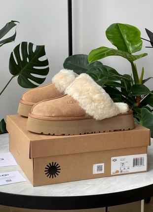 Угги угг уггі ugg disquette platform slippers chestnut9 фото