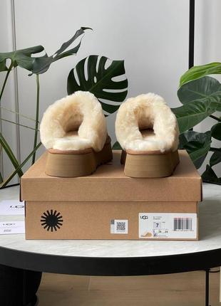 Угги угг уггі ugg disquette platform slippers chestnut4 фото