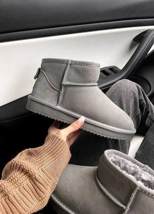Угги угги натуральные замшевые ugg mini grey