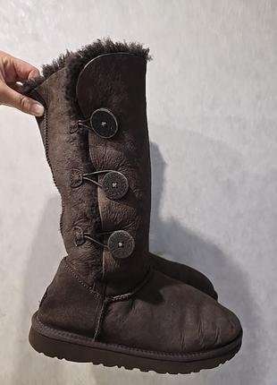 Ugg оригинал угги 26 стелька