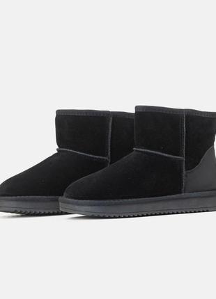 Угги угги натуральные замшевые ugg mini black jack