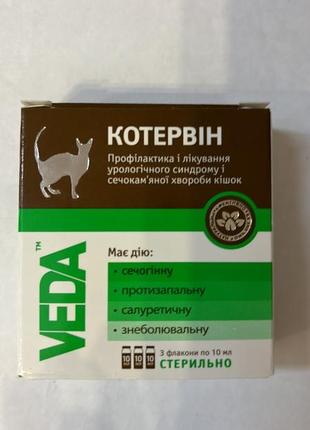 Кот ервин