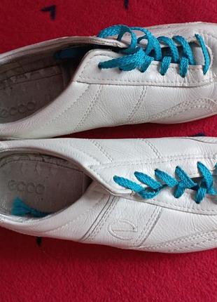 Кросівки спортивне взуття