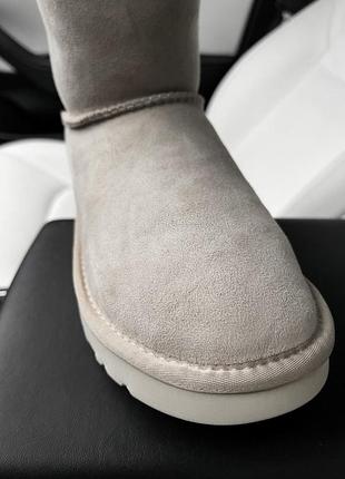 Угги угги натуральные замшевые mini bailey bow ii light grey7 фото