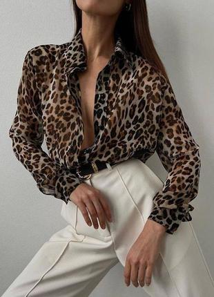 Трендова сорочка  
арт. sat. 5587