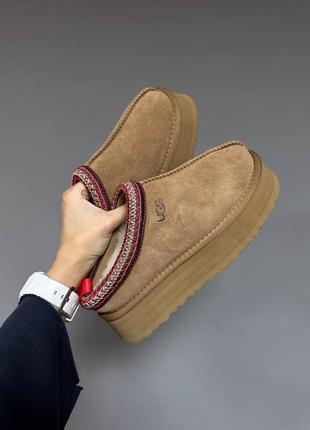 Угги угг уггі ugg tasman platform chestnut2 фото