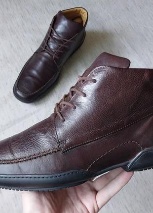 Черевики з натуральної телячої шкіри van bommel (голандія) р 44⅔