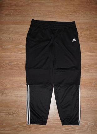 Женский спортивный костюм plus size adidas6 фото