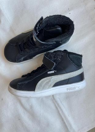 Хайтопы кроссовки puma