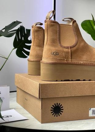 Угги угг уггі ugg neumel chelsea chestnut platform