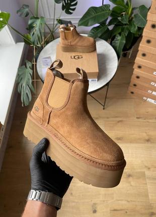 Угги угг уггі ugg neumel chelsea chestnut platform