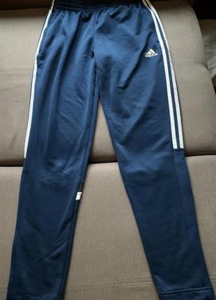 Чоловічі спортивні штани adidas