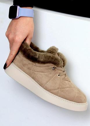 Зимние автоледи