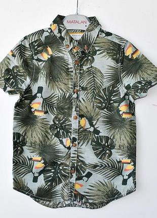 Primark  теніска в стилі zara mango gap reserved next hm