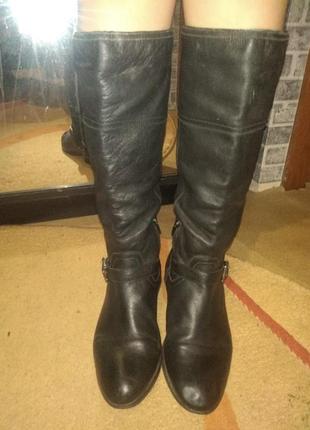 Жіночі чоботи холодна осінь