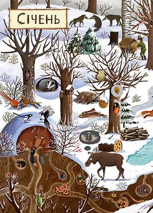 Віммельбух розвиваюча книга для дітей рік у лісі8 фото