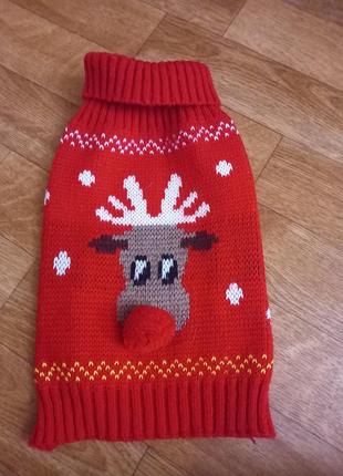 Одяг для тварин на різдво або новий рік