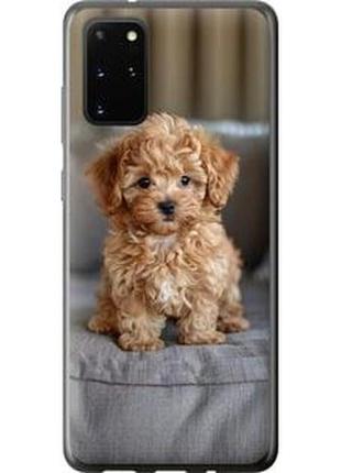 Чехол на samsung galaxy s20 plus mini-maltipoo "6158u-1822-71002"