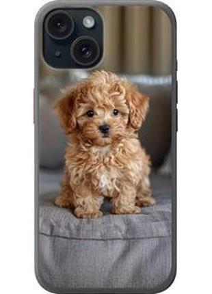 Чехол на iphone 15 mini-maltipoo "6158u-3075-71002"